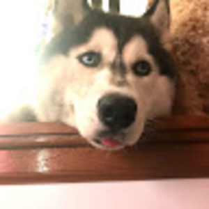 Meet your Posher, Angel